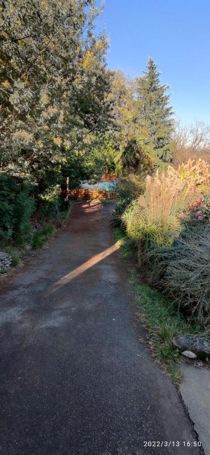 B&B En Plein Coeur De La Foret Artiguelouve Eksteriør billede